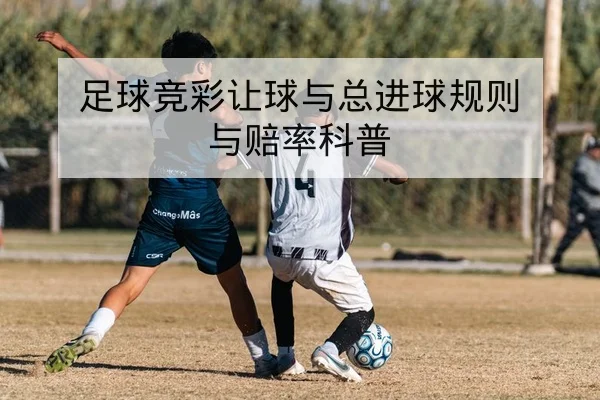 足球竞彩让球与总进球规则与赔率科普